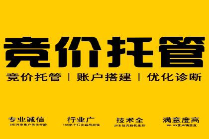 解析SEM投放策略：从经典案例看效果